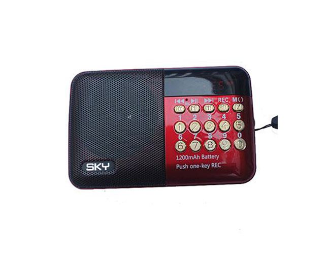 Loa di động Sky N-517 + Thẻ Micro 8G